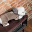 Костюм Pet Fashion Soft для собак, розмір M, коричневий (лімітована серія) - мініатюра 6