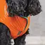 Жилет Pet Fashion Spring для собак, розмір XS2, помаранчевий - мініатюра 4