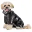 Комбинезон для собак Pet Fashion Indigo S черный - миниатюра 4