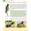 Загадковий світ амфібій - А. Гапченко (9789669892263) - мініатюра 3