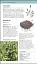 Herbal Remedies Handbook - мініатюра 5