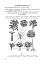 Біологія. Робочий зошит. Академічний рівень. 11 клас - миниатюра 8