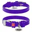 Нашийник для собак шкіряний Waudog Glamour з QR-паспортом без прикрас XS Ш 12 мм Д 21-29 см фіолетовий - мініатюра 1