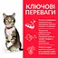 Сухий корм Hill's SP Adult Oral Care для підтримки здоров'я зубів дорослих котів з куркою 1.5 кг - мініатюра 2