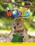 Welcome to Our World 2nd Edition 1 Lesson Planner - мініатюра 1