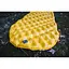 Надувной коврик Sea To Summit Air Sprung UltraLight Mat L (1033-STS AMULLAS) - миниатюра 3
