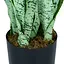 Штучна рослина Sansevieria 65 см (DW-11) - мініатюра 3