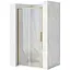 Душевые двери Rea Rapid Slide 100 brashed gold REA-K4707, прозрачный, золотой - миниатюра 1