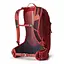 Рюкзак Gregory Biosync-Miko 20 Red (1053-145275 9973) - мініатюра 2