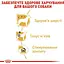 Вологий корм для собак породи пудель Royal Canin Poodle Loaf паштет 1.02 кг (12 шт. х 85 г) - мініатюра 4