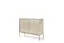 Комод Perfect Home Моно/Mono 2-дверный с 2 ящиками и золотыми ножками MKSZ104 Беж песочный (PFH-091205) - миниатюра 4