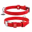 Ошейник для собак кожаный Waudog Glamour с QR-паспортом без украшений S Ш 15 мм Д 27-36 см красный - миниатюра 1