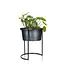 Кашпо Engard на металевій підставці 40х40х50/40х40х20 см (ME-07) - мініатюра 2