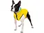 Курточка для животных Collar AiryVest "Colors of freedom" XS 25 (4440-4020) - миниатюра 4