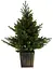 Елка искусственная Chomik с 90 теплыми LED-лампами в горшке 90 см (UMI9087) - миниатюра 3