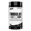 Стимулятор тестостерона Tribulus 1400 90 капсул Nutrex Research fit0012811 - миниатюра 1