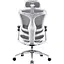 Крісло офісне Sihoo Doro C300 Pro Mesh White (DORO-C300-PRO-M102) - мініатюра 2