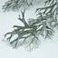 Искусственная ветвь Engard Стегхорн 100cм (TW-44) - миниатюра 2