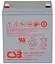 Аккумуляторная батарея для ИБП CSB AGM 12 V / 5.8 А*ч (HRL1225WF2FR) - миниатюра 1