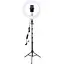 Держатель с кольцевой подсветкой Bluetooth 12" YQ-320b light set (Kit1) 170cm Stand, USB Powered - миниатюра 1