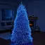 Новорічна гірлянда кімнатна роса 100 м 3000 LED Хвойна лапа зелений провід Синій Garlando D3000L100MGBL - мініатюра 5