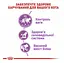 Уцінка. Сухий корм для дорослих стерилізованих кішок та кастрованих котів Royal Canin Sterilised, 4 кг - мініатюра 4