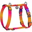 Шлея для собак Waudog анатомічна H-подібна Nylon з QR-паспортом L, Ш 25 мм, А 50-90, В 65-95 помаранчевий - мініатюра 1
