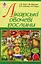 Лікарські овочеві рослини - миниатюра 1