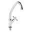 Кран для кухні на одну воду Lidz (CRM) Dominox 15 269F - мініатюра 1