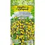 Насіння Томат низькорослий Насіння України Смородина жовта 0.1 г (667070) - мініатюра 1