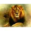 Алмазна мозаїка Лев 30×40 см 60702 - мініатюра 1