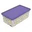 Коробка Qutu Trend Box Vibrant 5 л 33.5х19х11.5 см різнобарв'я (TREND BOX с/к VIBRANT 5л.) - мініатюра 1