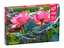 Пазлы CherryPazzi Розовые цветы лотоса, 500 элементов, 34.5x50 см, 20012 - миниатюра 1