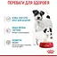 Вологий корм для вагітних собак і цуценят Royal Canin Starter Мother & Вabydog Мousse 2.34 кг (12 шт. х 195 г) - миниатюра 4