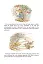 Peter Rabbit 23-Volume Library Collection - миниатюра 13