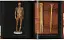 Anatomical Waxes. 45th Edition - миниатюра 25
