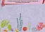 Пиши. Стирай. Вивчай. Розвиваємо памʼять та увагу. 4+ - миниатюра 4