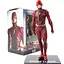 Фигурка ARTFX+ DC Justice League Flash ДС Лига справедливости Флэш 18 см DC FL18 - миниатюра 1