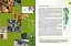 Енциклопедія для допитливих А5 : Тварини - майстри маскування (Українська ) - миниатюра 2