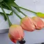 Тюльпан латексный №1389 шарик коралловый - миниатюра 3