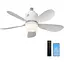 Потолочный вентилятор Sanweyter с подсветкой 53 см - миниатюра 1
