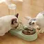 Подвійна миска для тварин Semi Animal Bowl Light Green з автоматичною напувалкою 500 мл - мініатюра 4