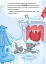 Том і Джеррі. Нянька для пінгвіна - миниатюра 5