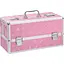 Кейс для хранения секс-игрушек BMS Factory Large Lokable Vibrator Case Pink - миниатюра 1