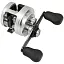 Котушка Shimano Calcutta 201 D 4 1BB - мініатюра 1