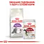 Сухой корм для кошек с чувствительной пищеварительной системой Royal Canin Sensible, с птицей, 4 кг (2521040) - миниатюра 8