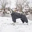 Комбінезон Pet Fashion Cold для собак, розмір ML, сірий - мініатюра 10