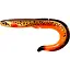 Силікон FishUP RAM Grub 7" #304 - Red Tiger (1 шт/уп) - мініатюра 1