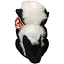 М'яка іграшка TY Beanie Bellies Скунс Rukus (41288) - мініатюра 4