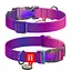 Нашийник для собак нейлоновий Waudog Nylon Recycled з QR-паспортом градієнт XL Ш 25 мм Д 37-58 см фіолетовий - мініатюра 1